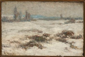 Paisaje invernal