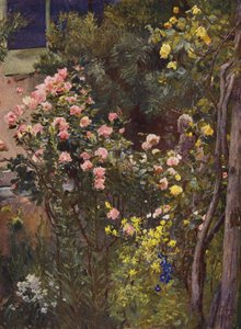 En un jardín de rosas, Catherine Mermet y Marechal Niel en su casa (litografía en color) de Herbert Arnould Olivier