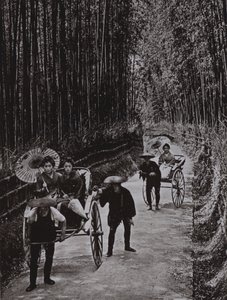 Una avenida de bambú en Kioto de Herbert Ponting
