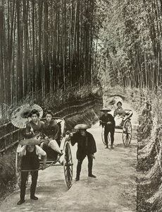 Una avenida de bambú en Kioto, 1910 de Herbert Ponting