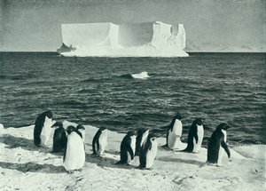 Un iceberg a la deriva en el sonido de McMurdo, c. 1910-1913, 1913