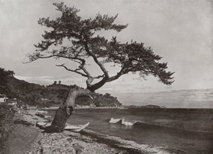 Atami de Herbert Ponting
