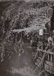 Tiempo de flor de cerezo en Japón de Herbert Ponting