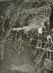Tiempo de flor de cerezo en Japón, 1910 de Herbert Ponting