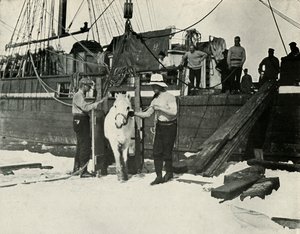 Desembarco de los ponis de Herbert Ponting