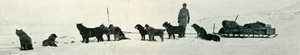 Perros con Suministros a Punto de Salir de Hut Point