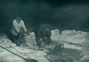 Dr. Atkinson y Clissold subiendo la trampa para peces, 28 de mayo de 1911 de Herbert Ponting