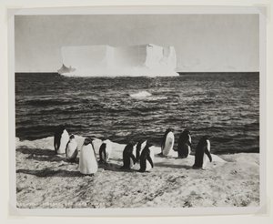 Iceberg a la deriva frente al cabo Royds