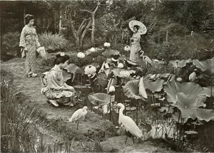 En la Tierra de los Lotos, 1910 de Herbert Ponting