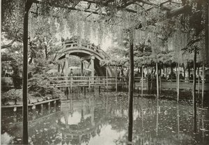 Kameido, 1910 de Herbert Ponting