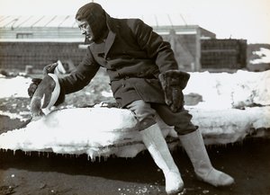Hombre con un pingüino durante la expedición inglesa a la Antártida de Herbert Ponting