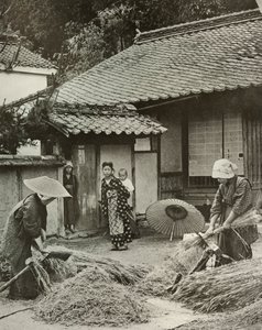 Campesinas cosechando cebada, 1910 de Herbert Ponting