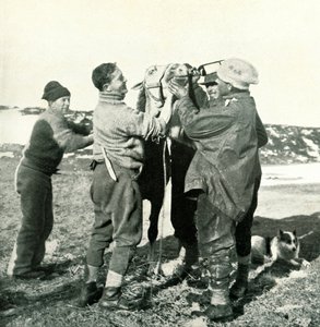 Pony Toma Whisky de Herbert Ponting