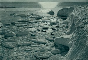 Focas tomando el sol sobre hielo recién formado en Cabo Evans, c. 1910-1913 de Herbert Ponting