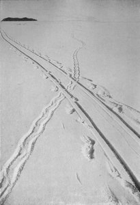 Cruce de pista de trineo con pista de pingüinos Adelia, 8 de diciembre de 1911, 1913