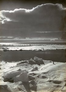 Puesta de sol en la manada de Herbert Ponting