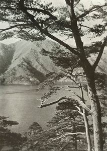 El hotel al otro lado del lago, Shoji, 1910