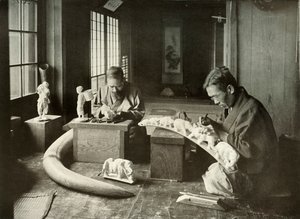 Los talladores de marfil, 1910 de Herbert Ponting