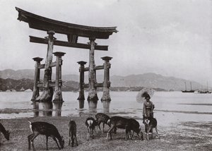 El viejo Torii en Miyajima