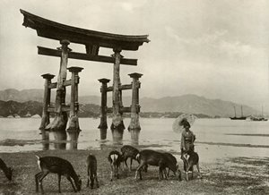 El viejo Torii en Miyajima, 1910