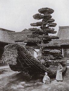 El Junco de Pino en Kinkakuji de Herbert Ponting