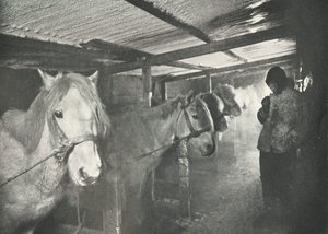 Los establos en invierno, c1910-1911, 1913
