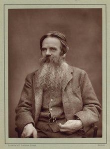 Retrato del pintor William Holman Hunt 1827-1910 de Herbert Rose Barraud