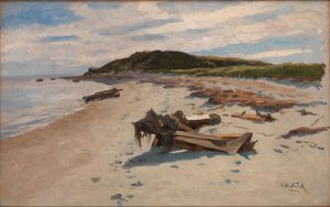Cape Cod, Playa