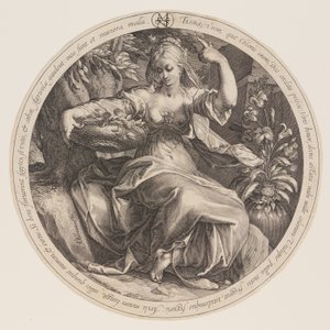 Flora de Herman Jansz. Muller