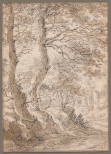 Interior de un bosque, con una figura sentada de Herman Saftleven