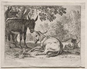 Burros de Herman van Swanevelt