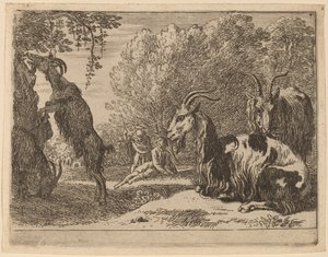 Cabras de Herman van Swanevelt