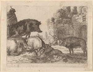 Cerdos de Herman van Swanevelt
