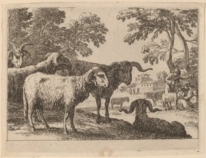 Carneros de Herman van Swanevelt