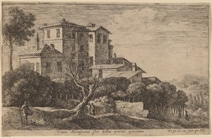 Vista del Viñedo de la Villa Mamsrona