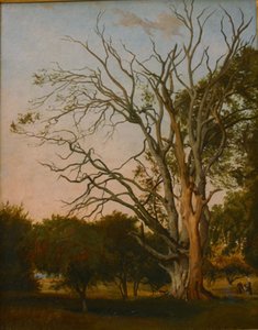 Escena del bosque con un árbol muerto