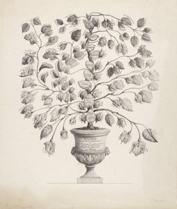 Árbol genealógico de la Casa de Orange-Nassau
