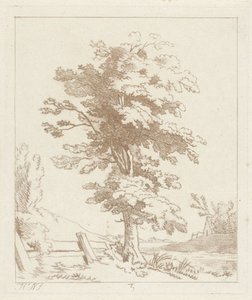 árbol en un paisaje de Hermanus Numan