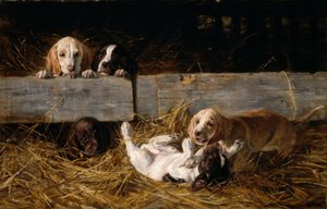 Cachorros jugando de Hermine Biedermann Arendt