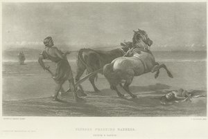 Ulises fingiendo locura (grabado)