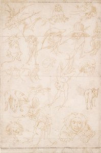 Estudios grotescos, c. 1500-1520 de Hieronymus Bosch