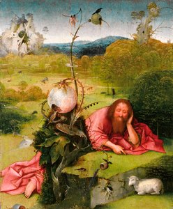 San Juan Bautista en el desierto, finales del siglo XV de Hieronymus Bosch
