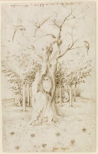 El Bosque Tiene Oídos, El Campo Tiene Ojos por Bosch, Hieronymus (c. 1450-1516). Pluma, tinta india marrón sobre papel, tamaño: 20,2x12,7, c. 1500-1515, Staatliche Museen, Berlín