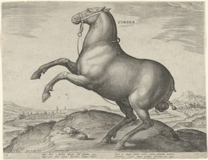 Caballo de Escitia Cimber (título sobre el objeto) Razas de caballos de las Caballerizas Reales de Don Juan de Austria (título de la serie) Equile Ioannis Austriaci Caroli (título de la serie) de Hieronymus Wierix
