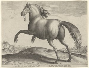 Caballo de España (Hispanus Alter) Hispanvs (título sobre objeto) Razas de caballos de las Caballerizas Reales de Don Juan de Austria (título de la serie) Equile Ioannis Austriaci Caroli (título de la serie)