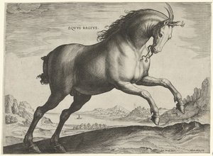 Caballo de la raza Equus Regius (el Real) Eqvvs Regivs (título en objeto) Razas de caballos de las Caballerizas Reales de Don Juan de Austria (título de la serie) Equile Ioannis Austriaci Caroli (título de la serie)
