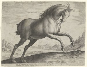 Caballo de la raza Equus Regius (el Real) Eqvvs Regivs (título en objeto) Razas de caballos de las Caballerizas Reales de Don Juan de Austria (título de la serie) Equile Ioannis Austriaci Caroli (título de la serie)