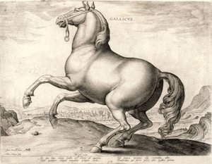 Gallicus de la serie Caballos del establo de Don Juan de Austria