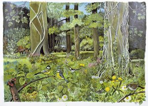 Detrás de los Escuderos, Devon de Hilary Jones