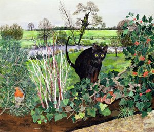 Gato de invierno de Hilary Jones